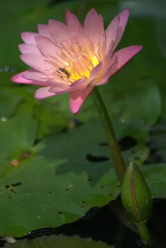 实名认证流程